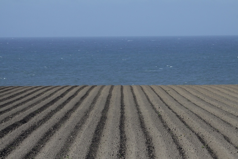 ploughed fields